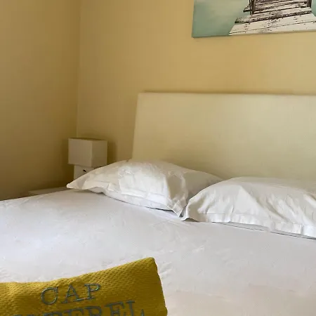 Apartment 2 Pieces En Rez-de-jardin Avec Vue Mer, Piscine Et Parking A Saint-raphael - Fr-1-504-567